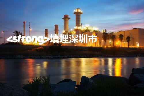 <strong>填埋深圳市危險廢物處理站有限公司化工設(shè)施安全解體：如何高效處理復(fù)雜工業(yè)遺留問題？</strong>